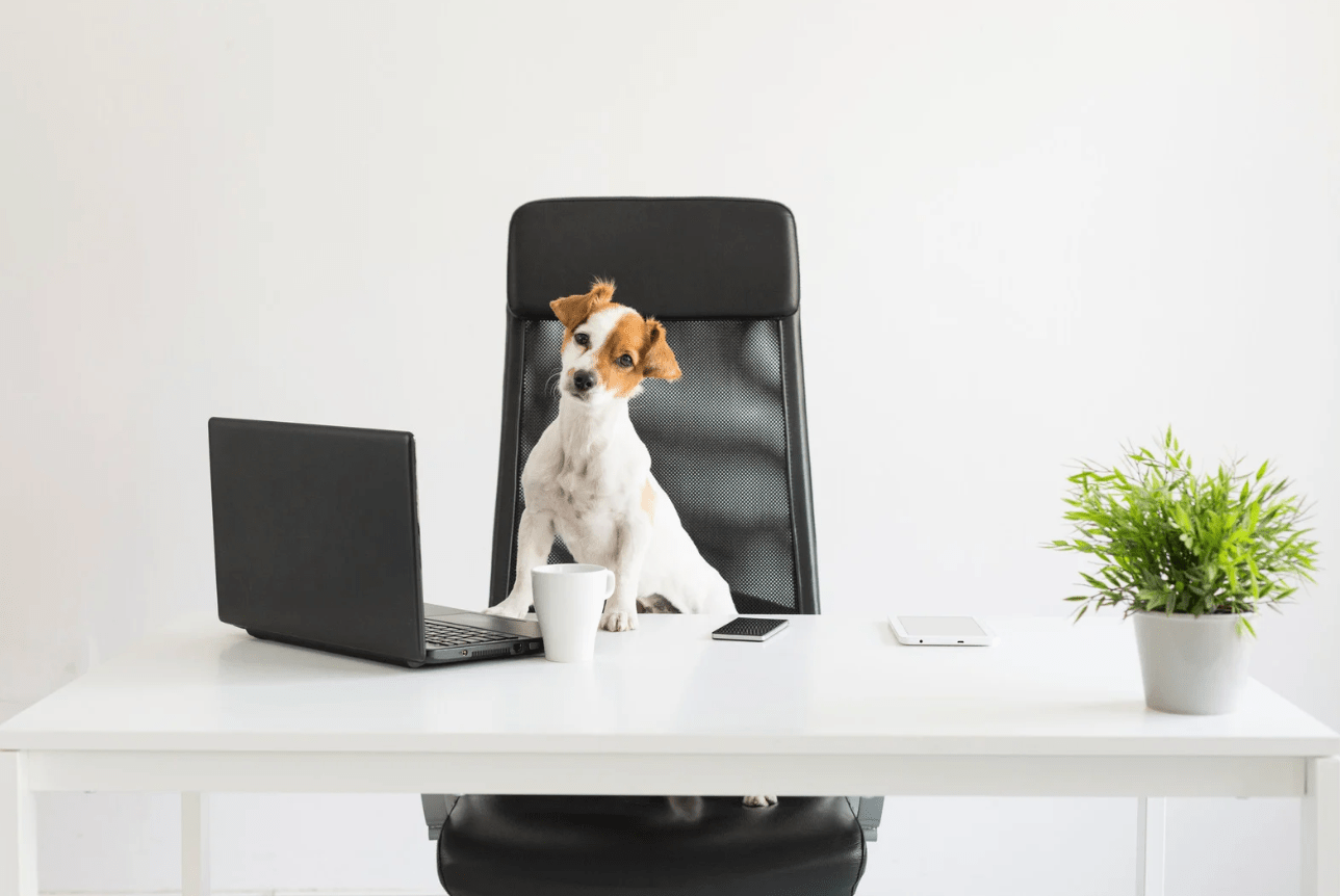 Fractional Fundraising Leadership for Growing&nbsp;Nonprofits